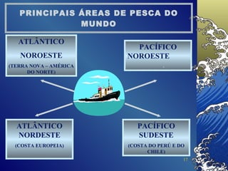 PRINCIPAIS ÁREAS DE PESCA DO MUNDO ATLÂNTICO NOROESTE (TERRA NOVA – AMÉRICA DO NORTE) PACÍFICO SUDESTE (COSTA DO PERÚ E DO CHILE) ATLÂNTICO NORDESTE (COSTA EUROPEIA) PACÍFICO NOROESTE  . 