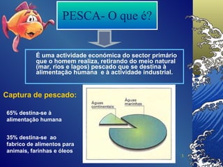 PESCA- O que é? É uma actividade económica do sector primário que o homem realiza, retirando do meio natural (mar, rios e lagos) pescado que se destina à alimentação humana  e à actividade industrial. Captura de pescado: 65% destina-se à alimentação humana  35% destina-se  ao fabrico de alimentos para animais, farinhas e óleos  
