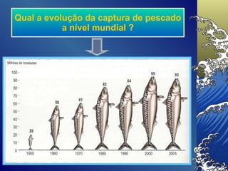 Qual a evolução da captura de pescado a nível mundial ? 