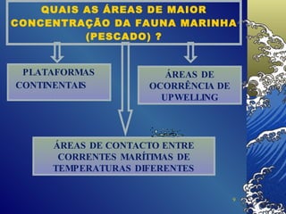 QUAIS AS ÁREAS DE MAIOR CONCENTRAÇÃO DA FAUNA MARINHA (PESCADO) ? PLATAFORMAS CONTINENTAIS   .  ÁREAS DE CONTACTO ENTRE CORRENTES MARÍTIMAS DE TEMPERATURAS DIFERENTES ÁREAS DE OCORRÊNCIA DE UPWELLING 
