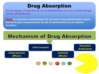 1- Pharmacokinetics I .pptx