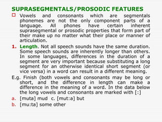 Language Suprasegmentals 1-PHONETICS.ppt- PResentation- Linguistics | PPT