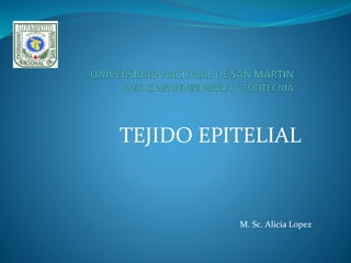 TEJIDO EPITELIAL
M. Sc. Alicia Lopez
 