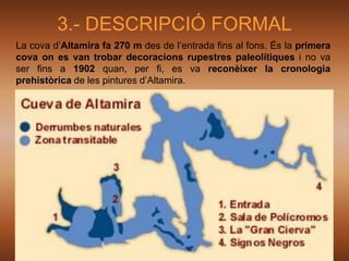 3.- DESCRIPCIÓ FORMAL
La cova d’Altamira fa 270 m des de l’entrada fins al fons. És la primera
cova on es van trobar decoracions rupestres paleolítiques i no va
ser fins a 1902 quan, per fi, es va reconèixer la cronologia
prehistòrica de les pintures d’Altamira.
 