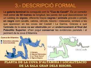 3.- DESCRIPCIÓ FORMAL
La galeria terminal és coneguda com la "Cua de Cavall". És un corredor
molt estret de 50 metres de longitud, les parets del qual descobreixen tot
un catàleg de signes, diferents traços negres i animals gravats o pintats
en negre com cavalls, cabres, cérvols, bisons i màscares, similars a les
que apareixen en les coves del Castell i La Garma. Gràcies a què
l'entrada de la cova va ser obstruïda per un enderrocament al final del
Paleolític Superior, s'han pogut conservar les evidències parietals i el
jaciment de la cova d’Altamira.




PLANTA DE LA COVA D’ALTAMIRA I LOCALITZACIÓ
       DE LA SALA GRAN DELS BISONS.
 