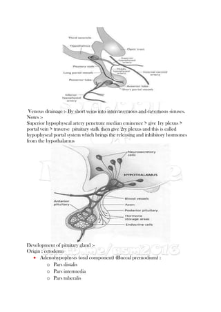 Venous drainage :- By short veins into intercavernous and cavernous sinuses.
Notes :-
Superior hypophyseal artery penetrate median eminence > give 1ry plexus >
portal vein > traverse pituitary stalk then give 2ry plexus and this is called
hypophyseal portal system which brings the releasing and inhibitory hormones
from the hypothalamus
Development of pituitary gland :-
Origin : ectoderm
 Adenohypophysis (oral component) (Buccal premodium) :
o Pars distalis
o Pars intermedia
o Pars tuberalis
 