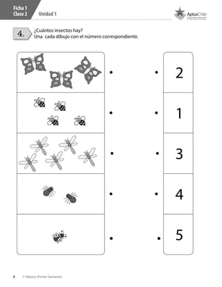 8 1º Básico, Primer Semestre
Unidad 1
Ficha 1
Clase 2
2
1
3
4
5
¿Cuántos insectos hay?
Una cada dibujo con el número correspondiente.4.
 