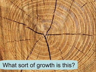 What Grows Example 1. Plant Growth | PPT