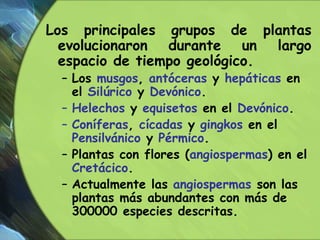 Adaptaciones de las plantas no
vasculares (briófitas).
A. Desecación
i. Planta
ii. Esporas
iii. Gametos
Pequeña cobertura ...