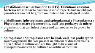introduction of plant pathology | PPTX