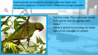 Tell the rules. The customer needs
to confirm that he agrees with
them.
While a sprint is running, its tasks
cannot be changed or added.
Interrupts the development process, adds new tasks and
frequently reminds to resolve them. Makes the change requests
on and on.
 