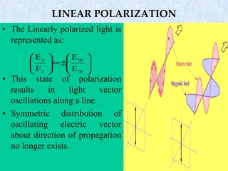 Linearly polarization | PPT