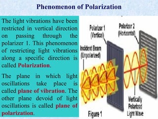 polarization | PPT