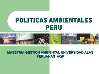 POLITICAS AMBIENTALES
            PERU


MAESTRIA GESTION AMBIENTAL UNIVERSIDAD ALAS
               PERUANAS AQP
 