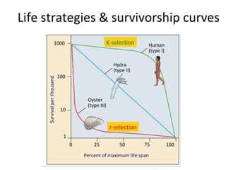 Life strategies & survivorship curves K-selection r-selection 0 25 1000 100 Human (type I) Hydra (type II) Oyster (type III) 10 1 50 Percent of maximum life span 100 75 Survival per thousand 