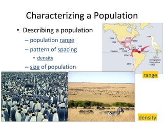 Characterizing a Population Describing a population population  range pattern of  spacing density size  of population range density 1937 1943 1951 1958 1961 1960 1965 1964 1966 1970 1970 1956 Immigration from Africa ~1900 Equator 