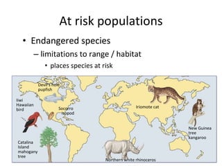 At risk populations Endangered species limitations to range / habitat places species at risk Socorro  isopod Devil’s hole pupfish Iriomote cat Northern white rhinoceros New Guinea tree  kangaroo Iiwi Hawaiian bird Catalina  Island mahogany tree 