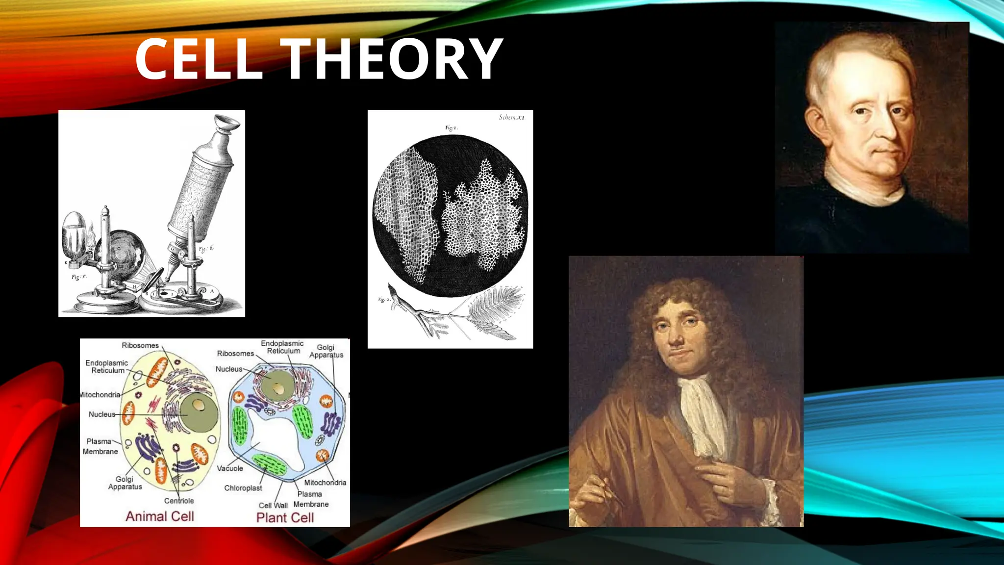 CELL THEORY
 