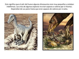Esto significa que al salir del huevo algunos dinosaurios eran muy pequeños y estaban
  indefensos. Las crías de algunas especias no eran capaces e valerse por sí mismas.
        Dependían de sus pares hasta que eran capaces de valerse por sí solos.
 