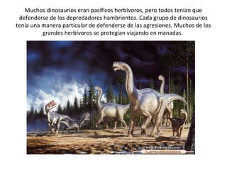 Muchos dinosaurios eran pacíficos herbívoros, pero todos tenían que
 defenderse de los depredadores hambrientos. Cada grupo de dinosaurios
tenía una manera particular de defenderse de las agresiones. Muchos de los
          grandes herbívoros se protegían viajando en manadas.
 
