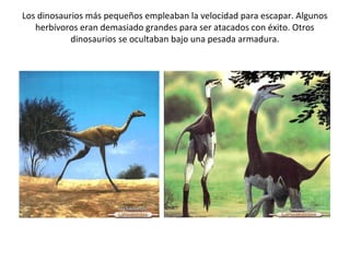 Los dinosaurios más pequeños empleaban la velocidad para escapar. Algunos
   herbívoros eran demasiado grandes para ser atacados con éxito. Otros
            dinosaurios se ocultaban bajo una pesada armadura.
 