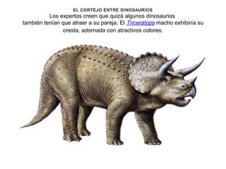 EL CORTEJO ENTRE DINOSAURIOS
          Los expertos creen que quizá algunos dinosaurios
también tenían que atraer a su pareja. El Triceratops macho exhibiría su
                cresta, adornada con atractivos colores.
 