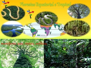 mamíferos, aves, répteis, anfíbios,
 