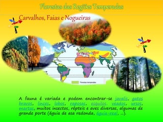 A fauna é variada e podem encontrar-se javalis, gatos
bravos, linces, lobos, raposas, esquilos, veados, ursos,
martas, muitos insectos, répteis e aves diversas, algumas de
grande porte (águia de asa redonda, águia-real, ...).
Carvalhos, Faias e Nogueiras
 