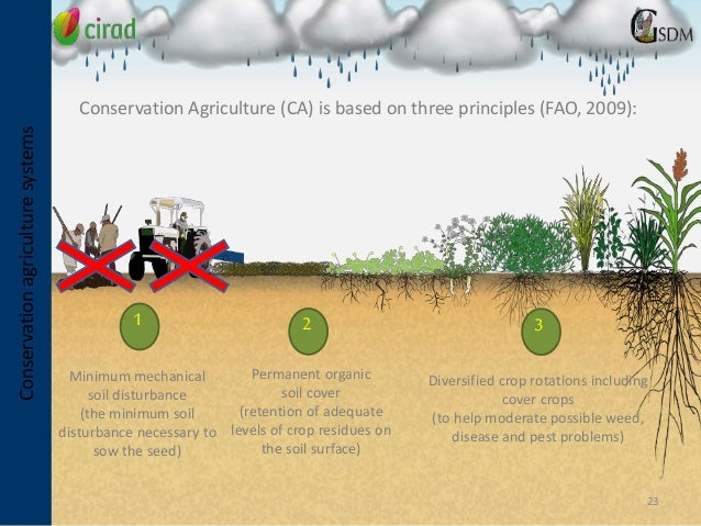 Agro-ecological approach conservation agriculture and SRI ...