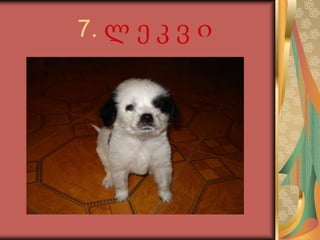           7. ლ ე კ ვ ი