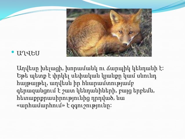 презентация1.pptx axves aleqs | PPTX