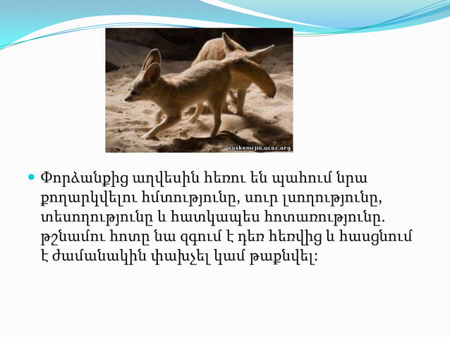 презентация1.pptx axves aleqs | PPT