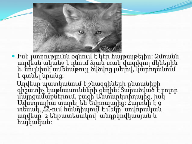 презентация1.pptx axves aleqs | PPTX