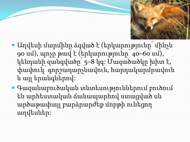 презентация1.pptx axves aleqs | PPTX