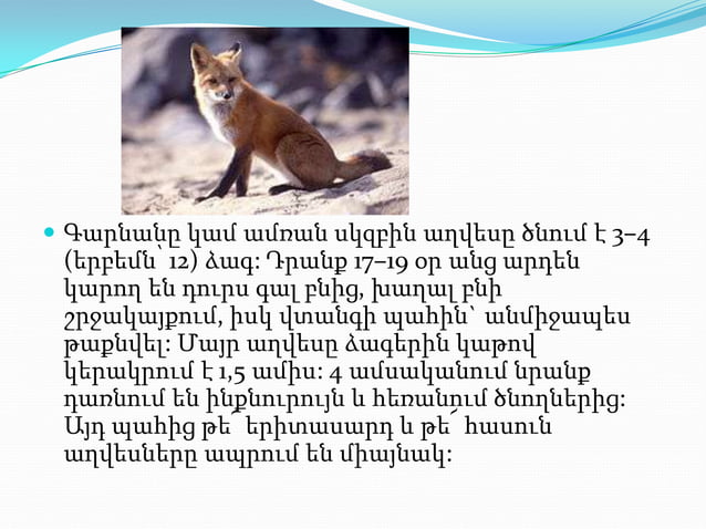 презентация1.pptx axves aleqs | PPTX