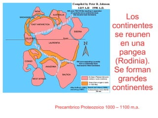 Los continentes se reunen en una pangea (Rodinia). Se forman grandes continentes Precambrico Proteozoico 1000 – 1100 m.a.