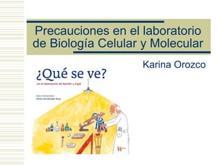 Precauciones en el laboratorio
de Biología Celular y Molecular
Karina Orozco
 