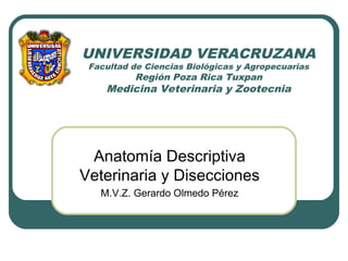 UNIVERSIDAD VERACRUZANA
 Facultad de Ciencias Biológicas y Agropecuarias
          Región Poza Rica Tuxpan
    Medicina Ve...