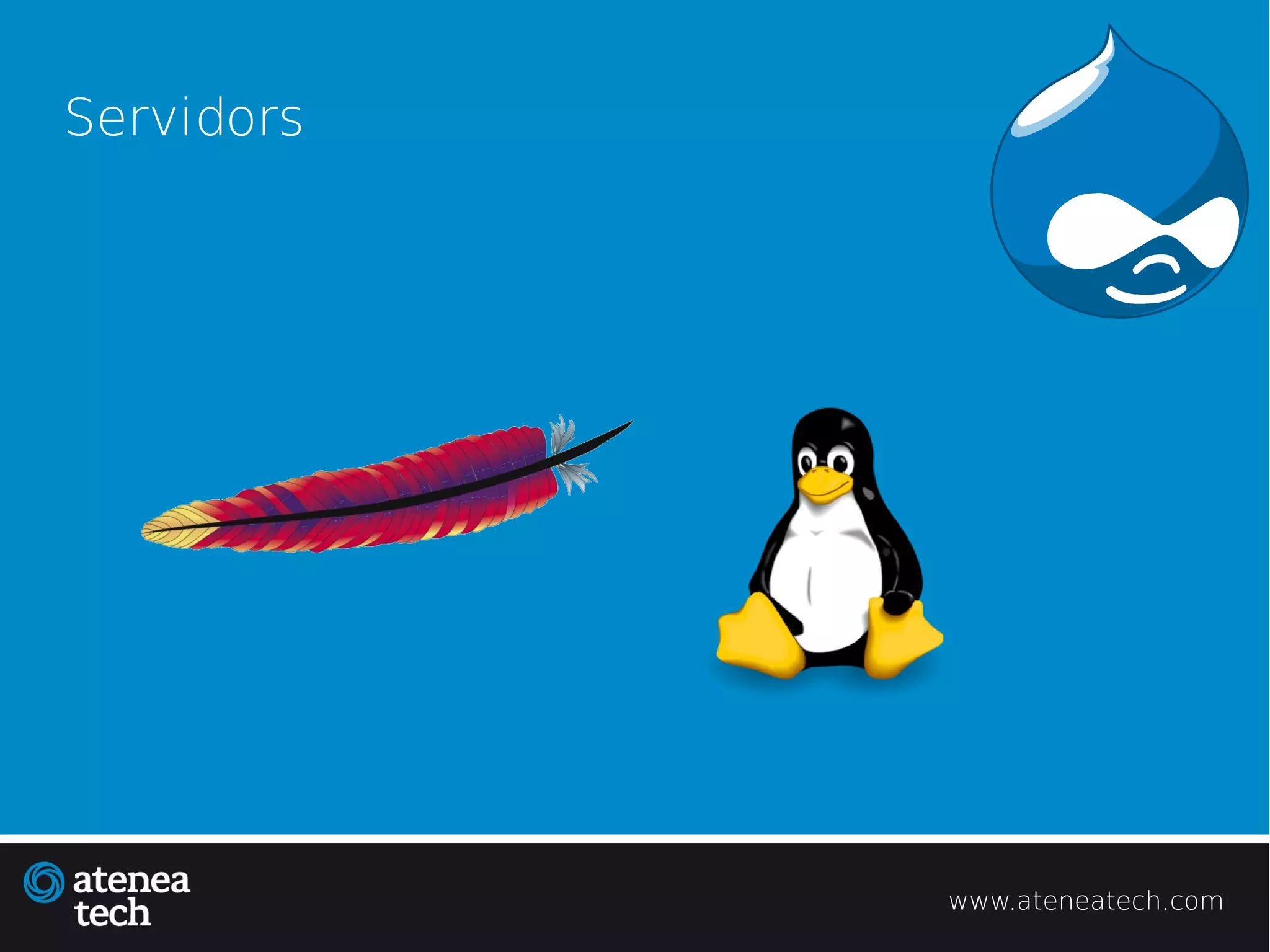 Servidors




            www.ateneatech.com
 