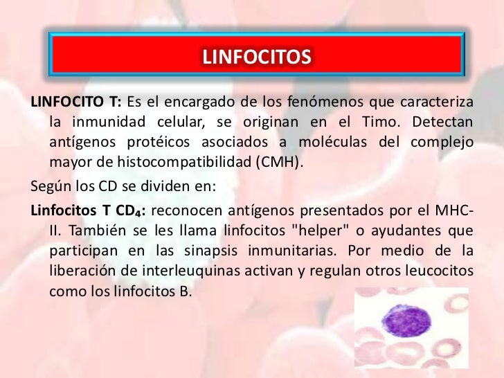El hongo de las uñas en las manos de la medicina las revocaciones