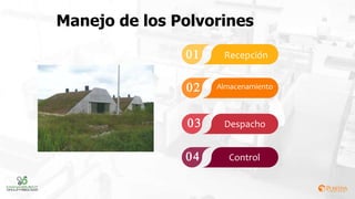 Manejo de los Polvorines
01 01
03
02
03
04
Recepción
Almacenamiento
Despacho
Control
 