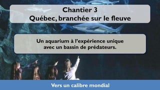 Chantier 3
Québec, branchée sur le fleuve


  Un aquarium à l’expérience unique
    avec un bassin de prédateurs.




       Vers un calibre mondial
 