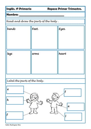 Inglés. 1º Primaria Repaso Primer Trimestre.
Read and draw the parts of the body .
Nombre: ________________________________
Celia Rodríguez Ruiz
hands Feet. Eyes.
legs arms heart
Label the parts of the body.
f
a
l
e
h
f
 