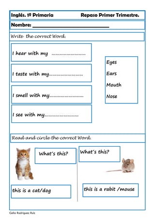 Inglés. 1º Primaria Repaso Primer Trimestre.
Write the correct Word.
Nombre: ________________________________
Celia Rodríguez Ruiz
I hear with my ………………………
Read and circle the correct Word.
this is a rabit /mouse
What´s this?
this is a cat/dog
Eyes
Ears
Mouth
Nose
I taste with my………………………
I smell with my………………………
I see with my………………………
What´s this?
 