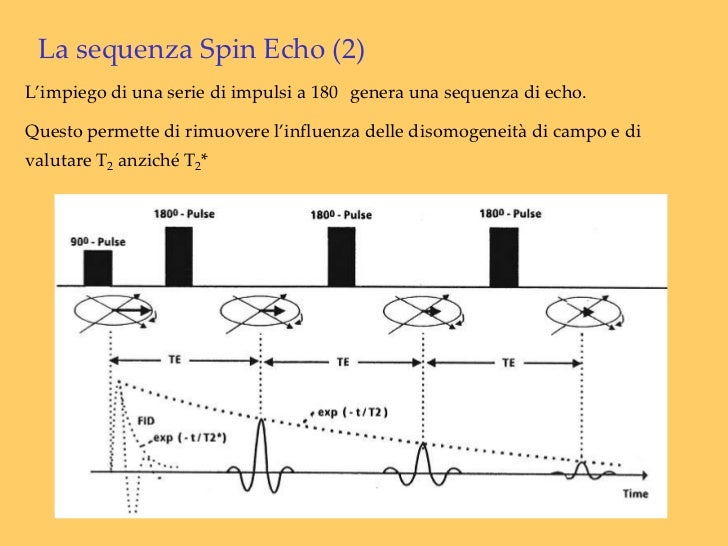 Iperintensità Nelle Sequenze A Tr Lungo 1.principi fisici
