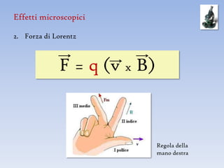 Effetti microscopici

2. Forza di Lorentz



             F = q (v x B)



                             Regola della
                             mano destra
 