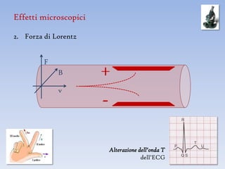 Effetti microscopici

2. Forza di Lorentz


         F
             B         +
             v




                       Alterazione dell’onda T
                                    dell’ECG
 