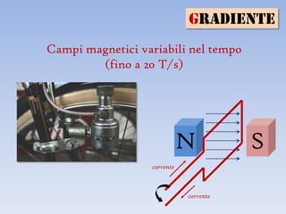 GRADIENTE
Campi magnetici variabili nel tempo
        (fino a 20 T/s)




                             N          S
                  corrente



                             corrente
 