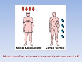 Stimolazione di tessuti muscolari e nervosi elettricamente eccitabili
 