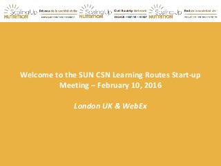 Welcome to the SUN CSN Learning Routes Start-up
Meeting – February 10, 2016
London UK & WebEx
 
